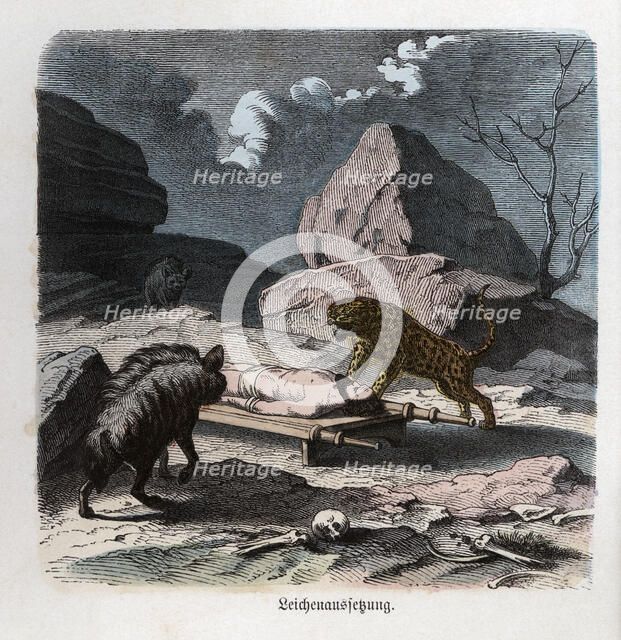 Ancient History. Persia. Abandonment of a corpse to the beasts. German engraving, 1865.