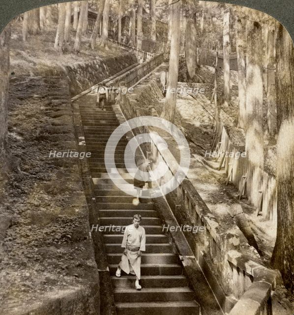 Ancient stone stairway up the hill to the tomb of Shogun Ieyasu, Nikko, Japan, 1904.Artist: Underwood & Underwood