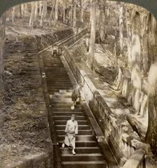 Ancient stone stairway up the hill to the tomb of Shogun Ieyasu, Nikko, Japan, 1904.Artist: Underwood & Underwood
