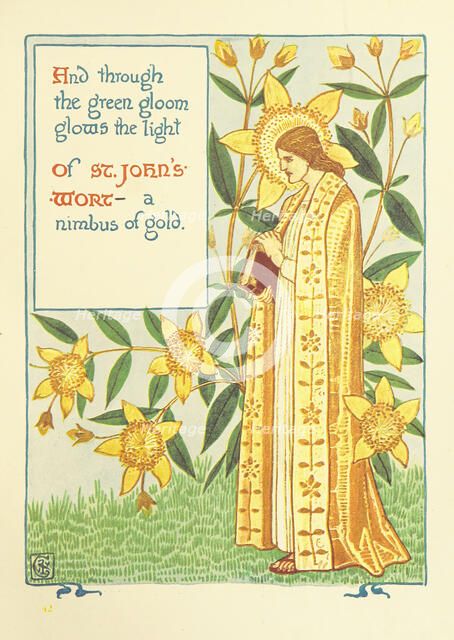 And through the green gloom glows the light Of St. John's-Wort - a nimbus of gold, 1899.  Creator: Walter Crane.