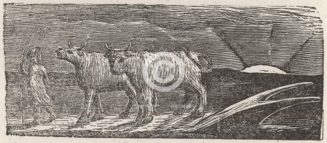 'And Unyok'd Heifers, Loitering Homeward, Low', 1821. Creator: William Blake.