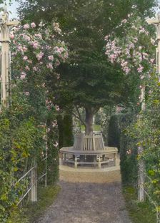 "Andorra," William Warner Harper house, Wyndmoor, Springfield Township, Pennsylvania, 1919. Creator: Frances Benjamin Johnston