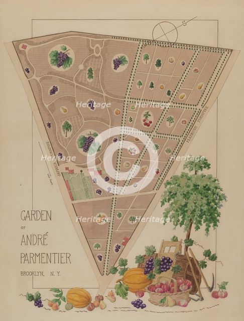 Andre Parmentier Garden, c. 1936. Creator: Helen Miller.