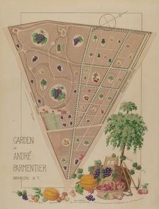 Andre Parmentier Garden, c. 1936. Creator: Helen Miller