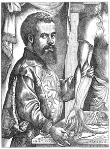 Andreas Vesalius, 16th century Flemish anatomist. Creator: Unknown