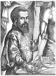 Andreas Vesalius, 16th century Flemish anatomist. Creator: Unknown