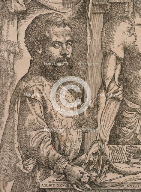 Andreas Vesalius dissecting the muscles of the forearm of a cadaver, 1543.  Artist: Steven van Calcar