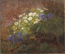 Anemones, 1867. Creator: Anthonie Leonore Christensen