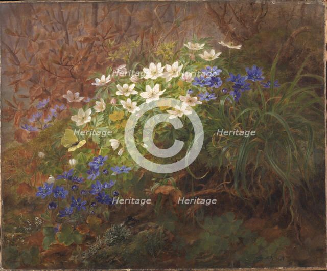 Anemones, 1867. Creator: Anthonie Leonore Christensen.