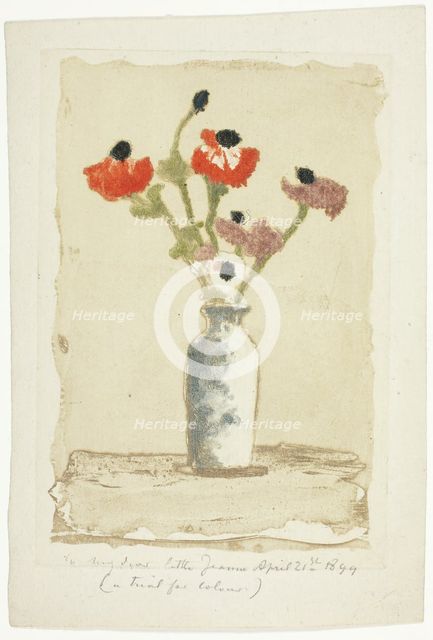 Anemonies, 1897. Creator: Theodore Roussel.