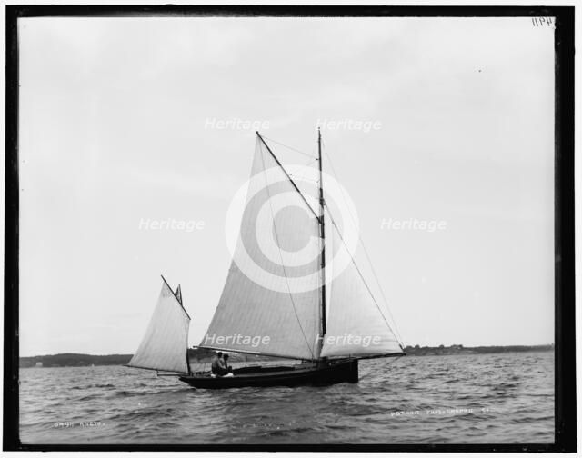 Aneto, between 1883 and 1899. Creator: Unknown.