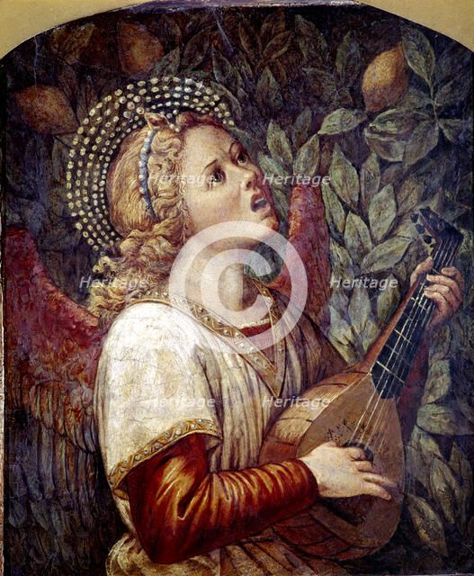 Angel Musician', by Melozzo da Forli.