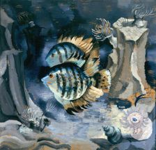 Angelfish - London Aquarium, 1930. Creator: Christopher Wood