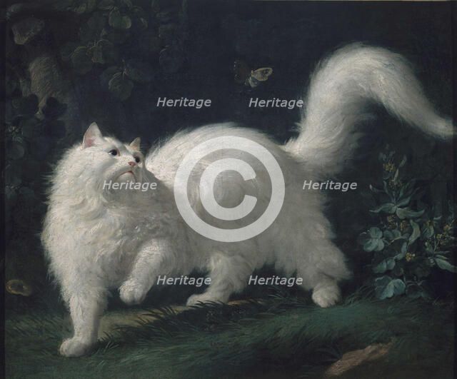 Angora cat chasing a butterfly, ca 1760. Creator: Bachelier, Jean-Jacques (1724-1806).