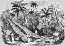 Anglo-French Station at the Isthmus of Panama for forming a canal between the Atlantic... 1854. Creator: Unknown