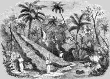 Anglo-French Station at the Isthmus of Panama for forming a canal between the Atlantic... 1854. Creator: Unknown