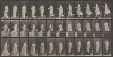 Animal Locomotion. An Electro-Photographic Investigation... of Animal Movements. Commence..., 1880s. Creator: Eadweard J Muybridge