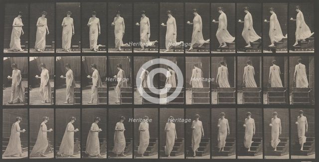 Animal Locomotion. An Electro-Photographic Investigation... of Animal Movements. Commence..., 1880s. Creator: Eadweard J Muybridge.