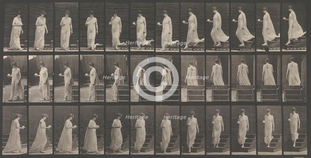Animal Locomotion. An Electro-Photographic Investigation... of Animal Movements. Commence..., 1880s. Creator: Eadweard J Muybridge.