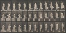 Animal Locomotion. An Electro-Photographic Investigation... of Animal Movements. Commence..., 1880s. Creator: Eadweard J Muybridge