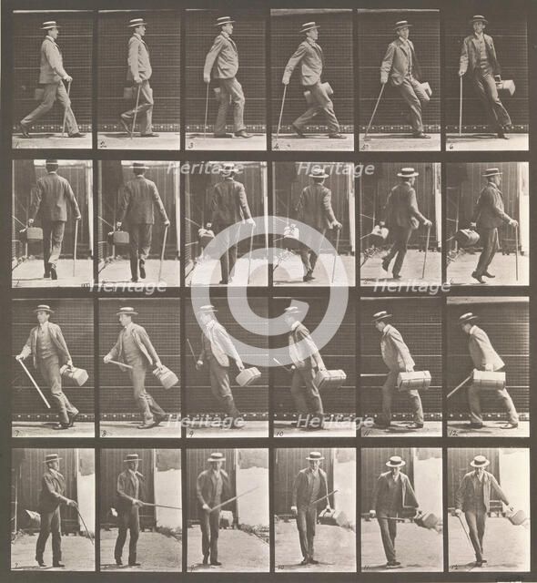 Animal Locomotion. An Electro-Photographic Investigation... of Animal Movements. Commence..., 1880s. Creator: Eadweard J Muybridge.