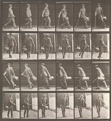 Animal Locomotion. An Electro-Photographic Investigation... of Animal Movements. Commence..., 1880s. Creator: Eadweard J Muybridge