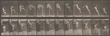 Animal Locomotion. An Electro-Photographic Investigation of Consecutive Phases of Animal ..., 1880s. Creator: Eadweard J Muybridge