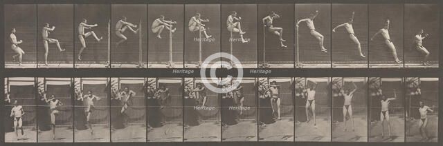 Animal Locomotion. An Electro-Photographic Investigation of Consecutive Phases of Animal ..., 1880s. Creator: Eadweard J Muybridge.