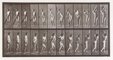 Animal Locomotion. An Electro-Photographic Investigation of Consecutive Phases of Animal ..., 1880s. Creator: Eadweard J Muybridge