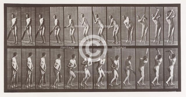 Animal Locomotion. An Electro-Photographic Investigation of Consecutive Phases of Animal ..., 1880s. Creator: Eadweard J Muybridge.