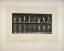 Animal locomotion: males (pelvis cloth), 1887. Creator: Muybridge, Eadweard (1830-1904)