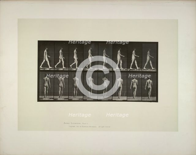 Animal locomotion: males (pelvis cloth), 1887. Creator: Muybridge, Eadweard (1830-1904).