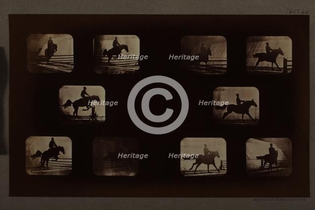 Animal Locomotion (Man On Horse Over Hurdles), Printed 1881. Creator: Eadweard J Muybridge.