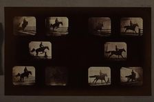 Animal Locomotion (Man On Horse Over Hurdles), Printed 1881. Creator: Eadweard J Muybridge