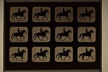 Animal Locomotion (Man W/ Derby On Horse), Printed 1881. Creator: Eadweard J Muybridge