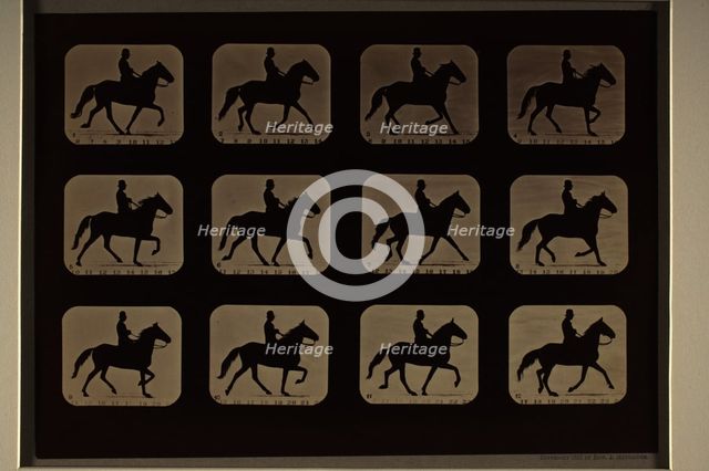 Animal Locomotion (Man W/ Derby On Horse), Printed 1881. Creator: Eadweard J Muybridge.