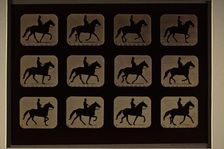 Animal Locomotion (Man W/ Derby On Horse), Printed 1881. Creator: Eadweard J Muybridge