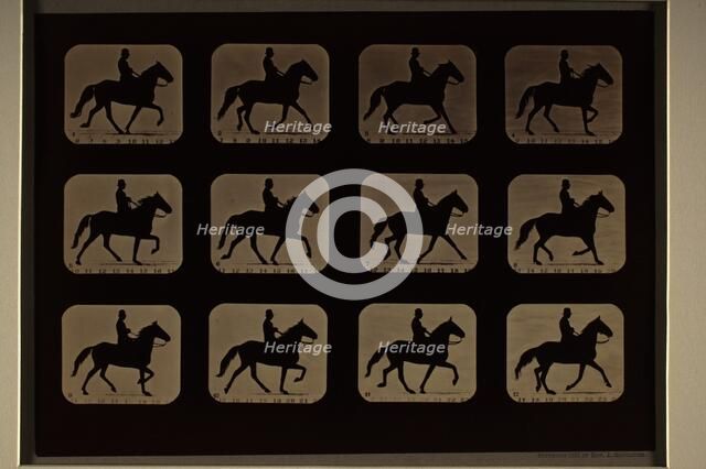 Animal Locomotion (Man W/ Derby On Horse), Printed 1881. Creator: Eadweard J Muybridge.