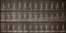 Animal Locomotion, Plate 174, 1887. Creator: Eadweard J Muybridge