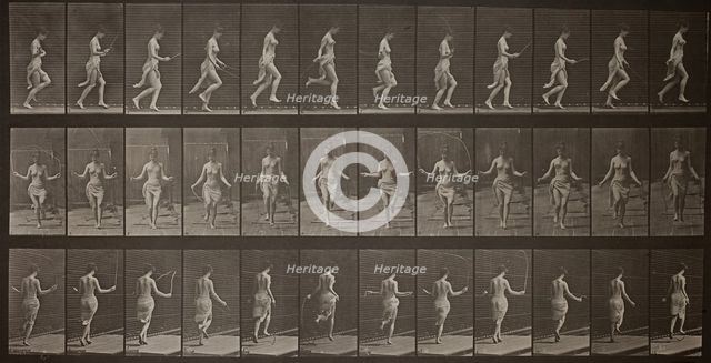 Animal Locomotion, Plate 174, 1887. Creator: Eadweard J Muybridge.