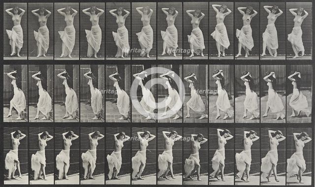 Animal Locomotion Plate 190, 1887. Creator: Muybridge, Eadweard (1830-1904).