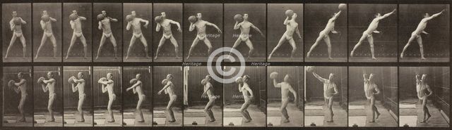 Animal Locomotion, Plate 319, 1887. Creator: Eadweard J Muybridge.
