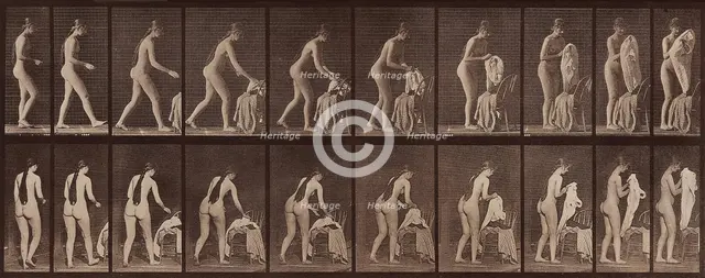 Animal Locomotion. Plate 415, 1887. Creator: Muybridge, Eadweard (1830-1904).