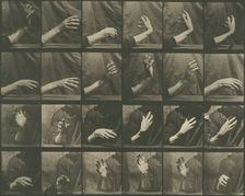 Animal Locomotion, Plate 535, 1887. Creator: Eadweard J Muybridge