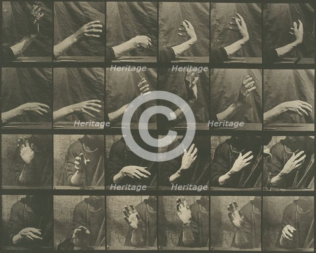 Animal Locomotion, Plate 535, 1887. Creator: Eadweard J Muybridge.