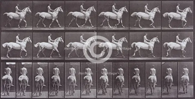 Animal Locomotion, Printed 1887. Creator: Eadweard J Muybridge.
