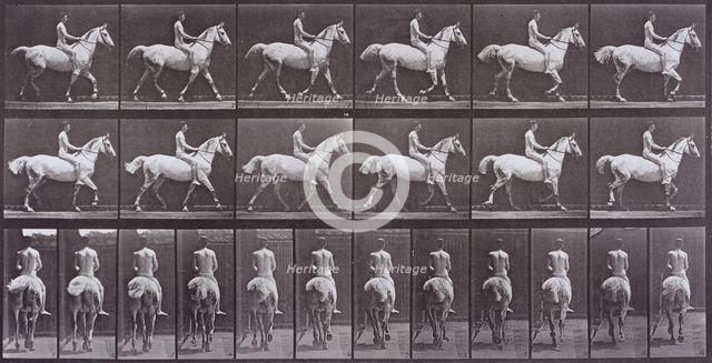 Animal Locomotion, Printed 1887. Creator: Eadweard J Muybridge.