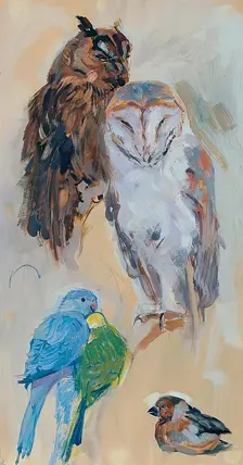 Animal study from Schönbrunn, around 1913/1914. Creator: Carl Fahringer