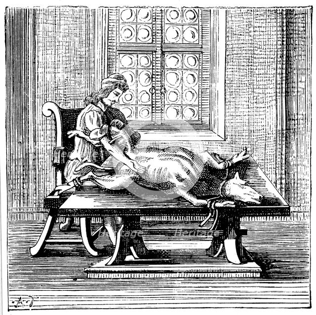 Animal-to-human blood transfusion, 1679. Artist: Unknown