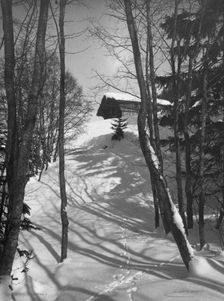 Animal tracks in the snow, 1916. Creator: Unknown